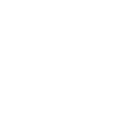 Instagram ico